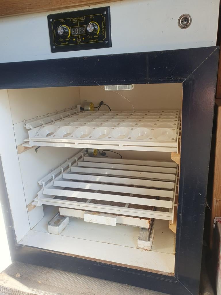 Broedmachine voor 84 eitjes, Ophalen of Verzenden, Broedmachine