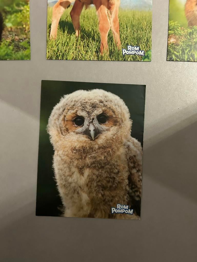 Dieren posters divers, Verzamelen, Posters, A4 of kleiner, Ophalen of Verzenden, Dier of Natuur, Rechthoekig Staand