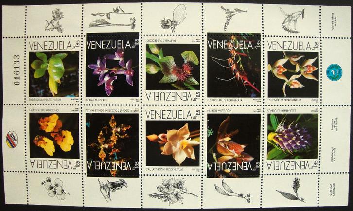 - 784 - 1 Groot Blok met Orchideeën, Postzegels en Munten, Postzegels | Thematische zegels, Gestempeld, Dier of Natuur, Verzenden