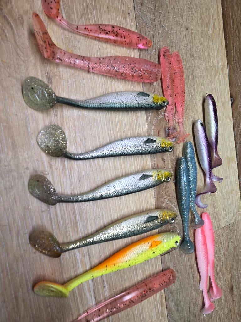 Zeebaars&snoekbaars, Ophalen of Verzenden, Nieuw, Overige typen