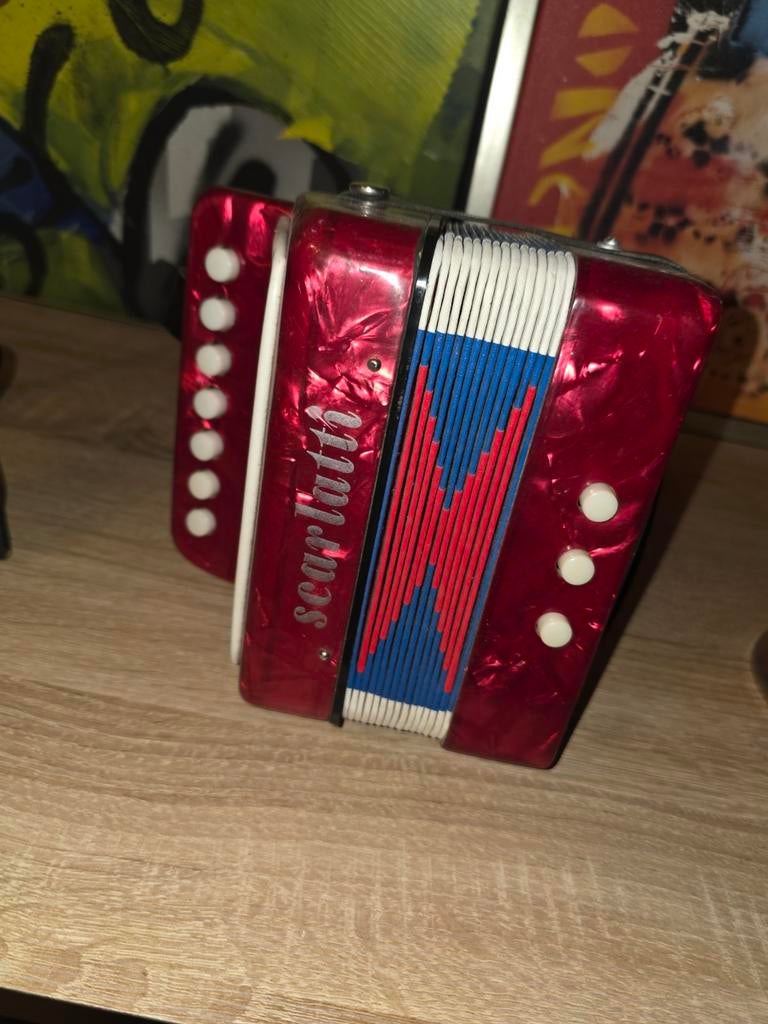 Kleine accordeon, Muziek en Instrumenten, Ophalen of Verzenden, Overige merken