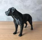 Beeldje Rottweiler, Ophalen of Verzenden, Zo goed als nieuw, Beeldje of Figuurtje