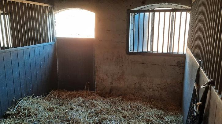 ponybox/groepsstal, Dieren en Toebehoren, Stalling en Weidegang, Stalling, Weidegang