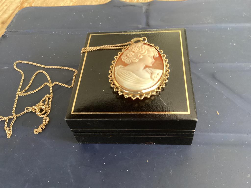 Camee in goudennrand, Ophalen of Verzenden, Zo goed als nieuw, Goud, Overige kleuren