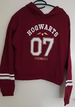 Trui maat 170 Harry Potter, Meisje, Trui of Vest, H&M, Ophalen of Verzenden