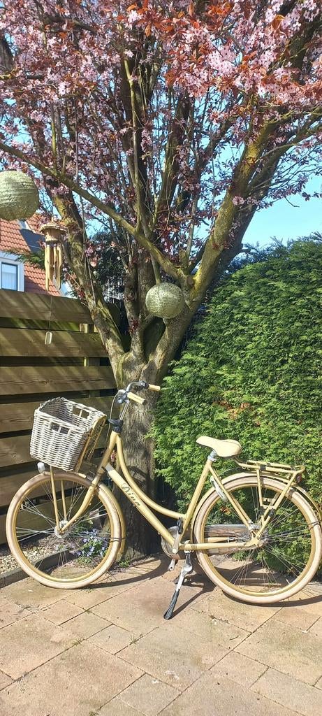 Batavus Diva goudkleurig met mand, Ophalen, Versnellingen, Batavus, 53 tot 56 cm