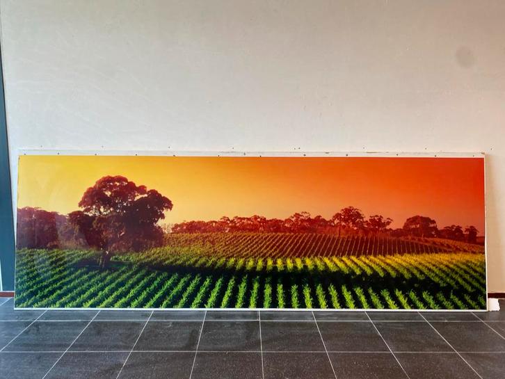 HOUTEN Schilderij wijngaard 4METER bij 1,35 METER, Antiek en Kunst, Kunst | Schilderijen | Klassiek, Ophalen