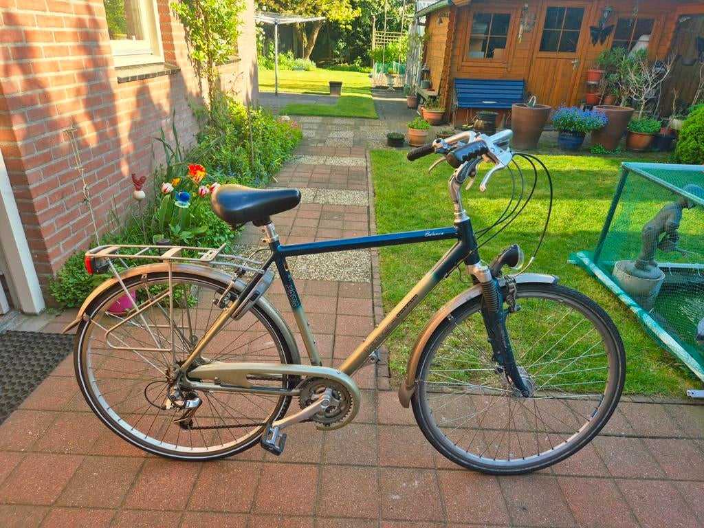 Koga Miyata Balance herenfiets, Gebruikt, Versnellingen, 53 tot 57 cm, Ophalen