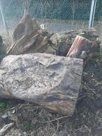 Brandhout beuken, Meerdere dieren, Kip