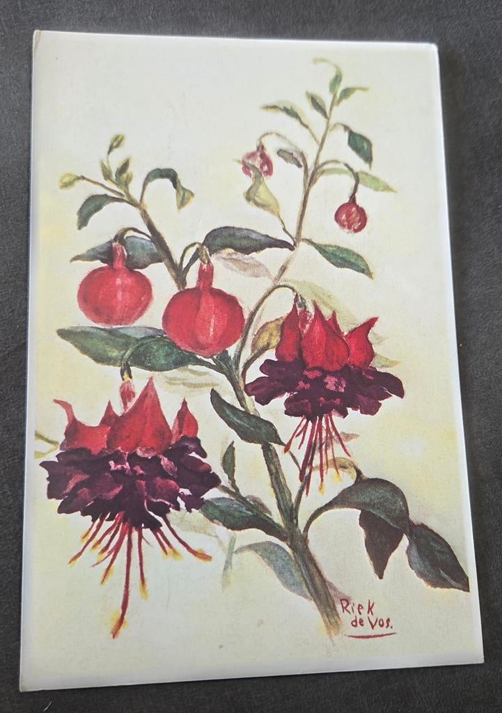 Fuchsia - Riek de Vos, Verzenden, 1980 tot heden, Gelopen, Overige thema's