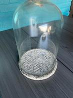 Glazen stolp als nieuw!, Ophalen, Nieuw