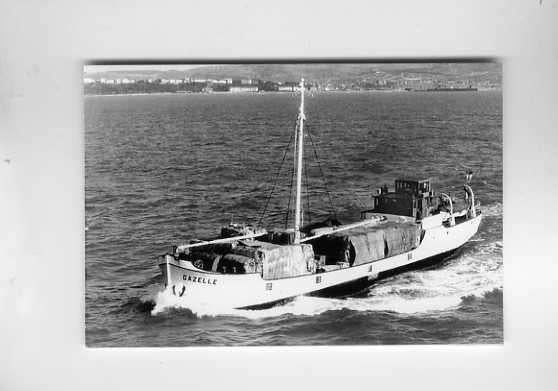 scheepvaart-foto-gazelle 1931, Ophalen of Verzenden, Zo goed als nieuw, Motorboot, Boek of Tijdschrift