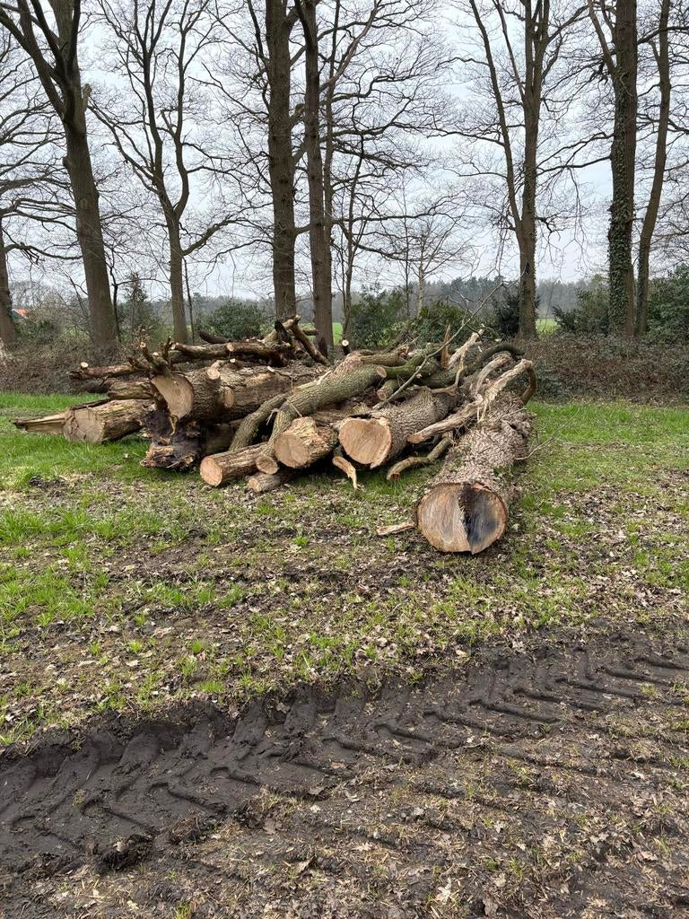 Brandhout stammen - Diverse houtsoorten, Tuin en Terras, Haardhout, Stammen, Overige houtsoorten, Minder dan 3 m³, Ophalen