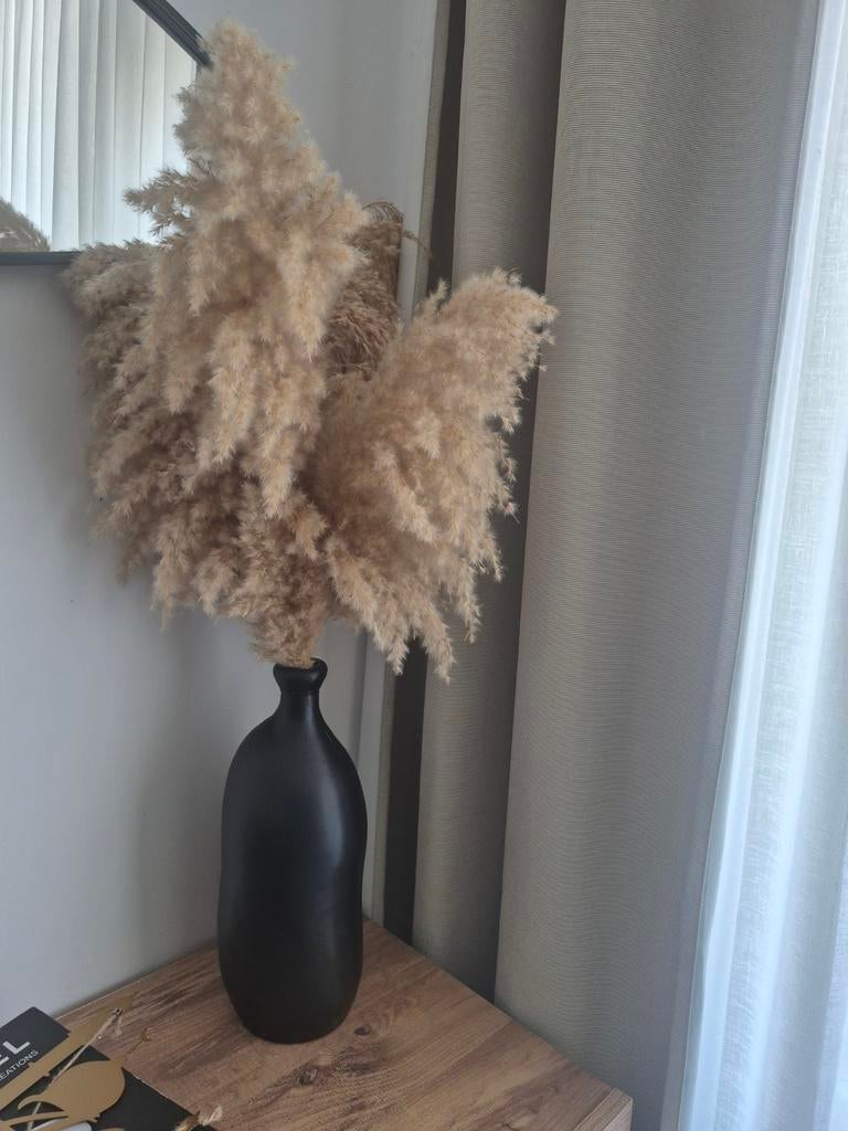 Zwarte vaas met pampas pluimen, Huis en Inrichting, Woonaccessoires | Vazen, Ophalen