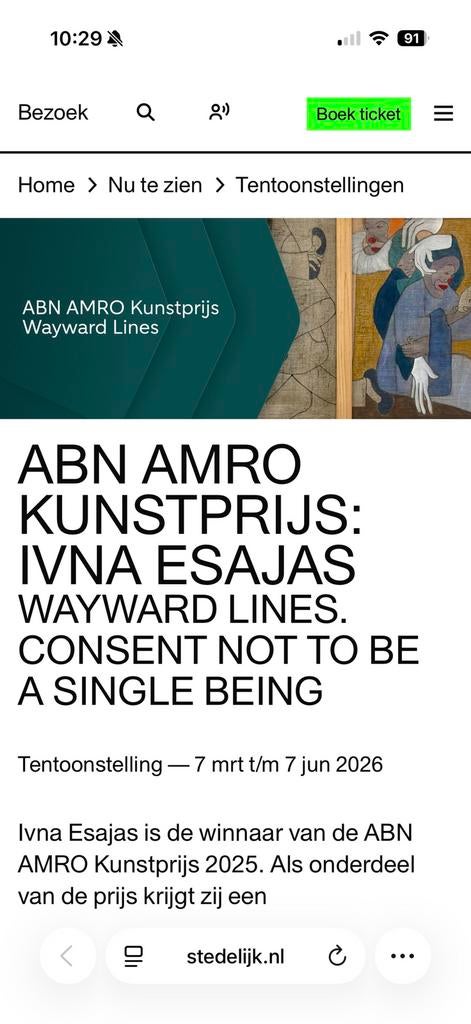 Kaartjes stedelijk museum Amsterdam - nieuw, Twee personen, Overige soorten, Overige typen