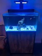 Blue marine 160L nieuwstaat, Ophalen, Zo goed als nieuw, Leeg aquarium