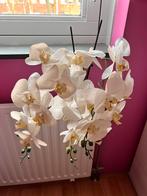 Kunstplant orchidee van Tuin Centrum, Huis en Inrichting, Woonaccessoires | Kunstplanten en Kunstbloemen, Ophalen of Verzenden