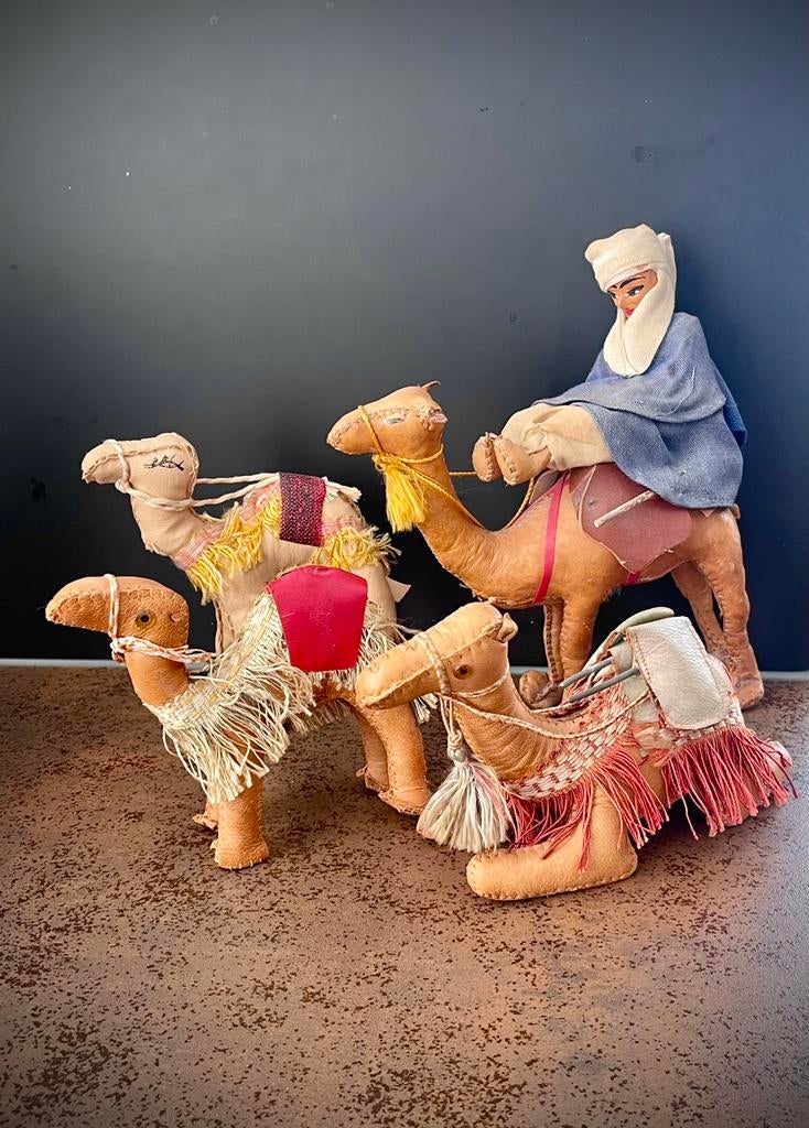 Verzameling kamelen uit de hele wereld, Ophalen of Verzenden, Zo goed als nieuw, Dier