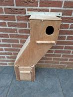 Broedblok Princes of Wales parkiet, Dieren en Toebehoren, Vogels | Hokken en Kooien, Ophalen, Hout