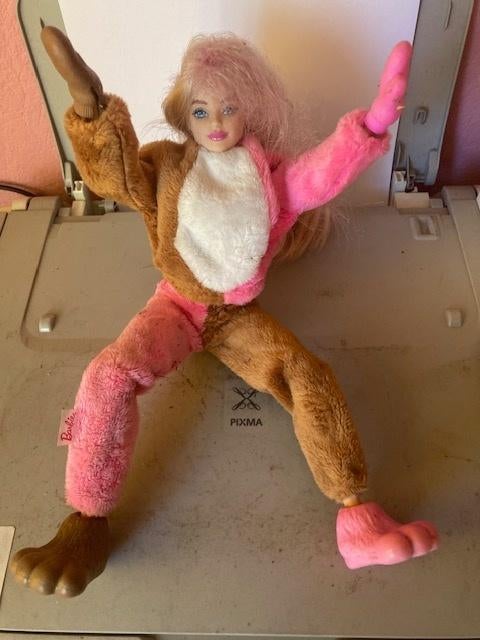 barbie pop beer, Verzamelen, Poppen, Ophalen, Zo goed als nieuw, Pop