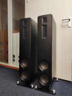 PS Audio Aspen FR10 Vloerstaande Luidsprekers - Demo Staat, ., Zo goed als nieuw, ., 120 watt of meer