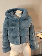 Fashion Nova korte teddy jas maat s nieuw, Blauw, ., Nieuw, Ophalen of Verzenden