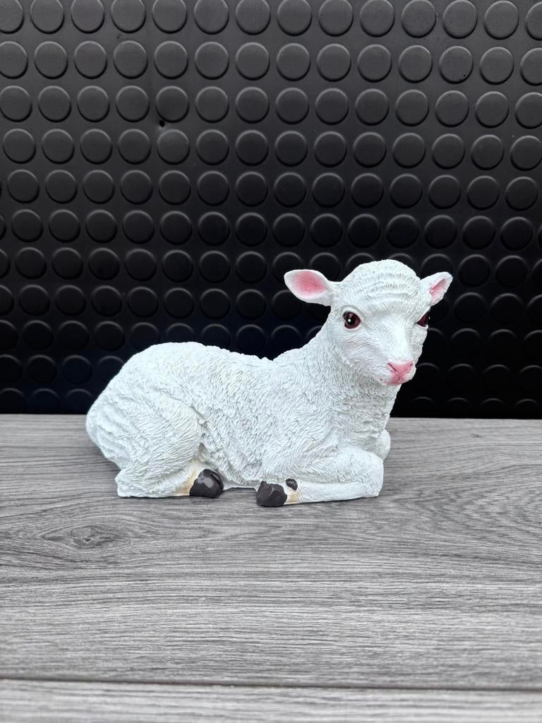 lammetje liggend 14hoog 20breed/Nieuw!, Ophalen of Verzenden, Nieuw, Dier