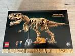 LEGO 76968 - Dinosaurus Fossils: Tyrannosaurus Rex. zgan, Ophalen of Verzenden, Zo goed als nieuw, Complete set, Lego
