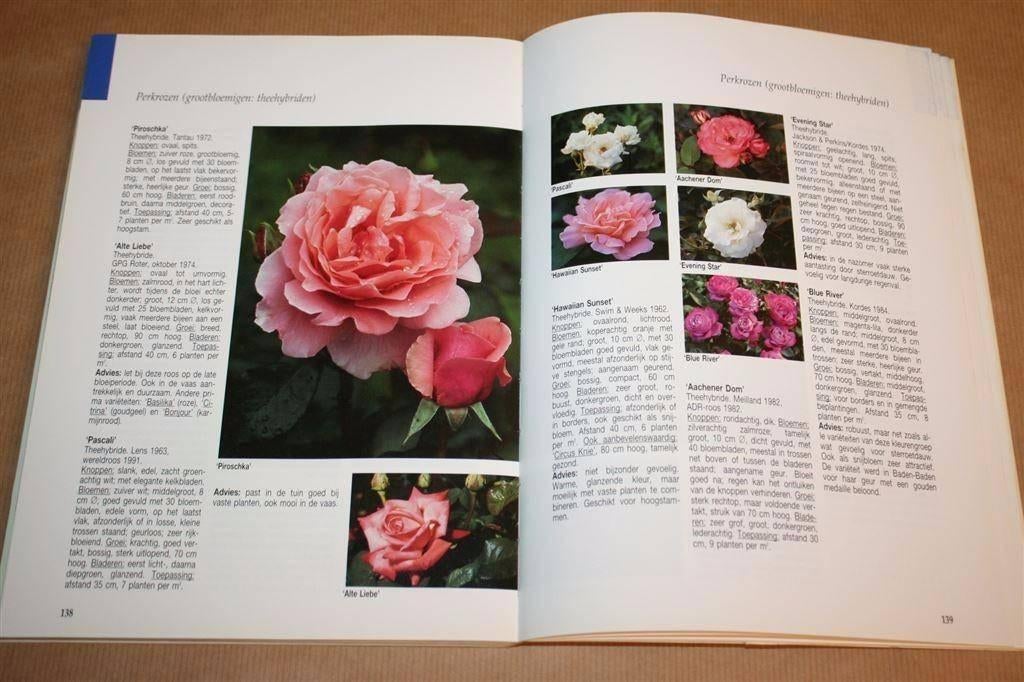 Rozen - De mooiste rozen voor grote en kleine tuinen, Ophalen of Verzenden, Gelezen, Tuinontwerpen