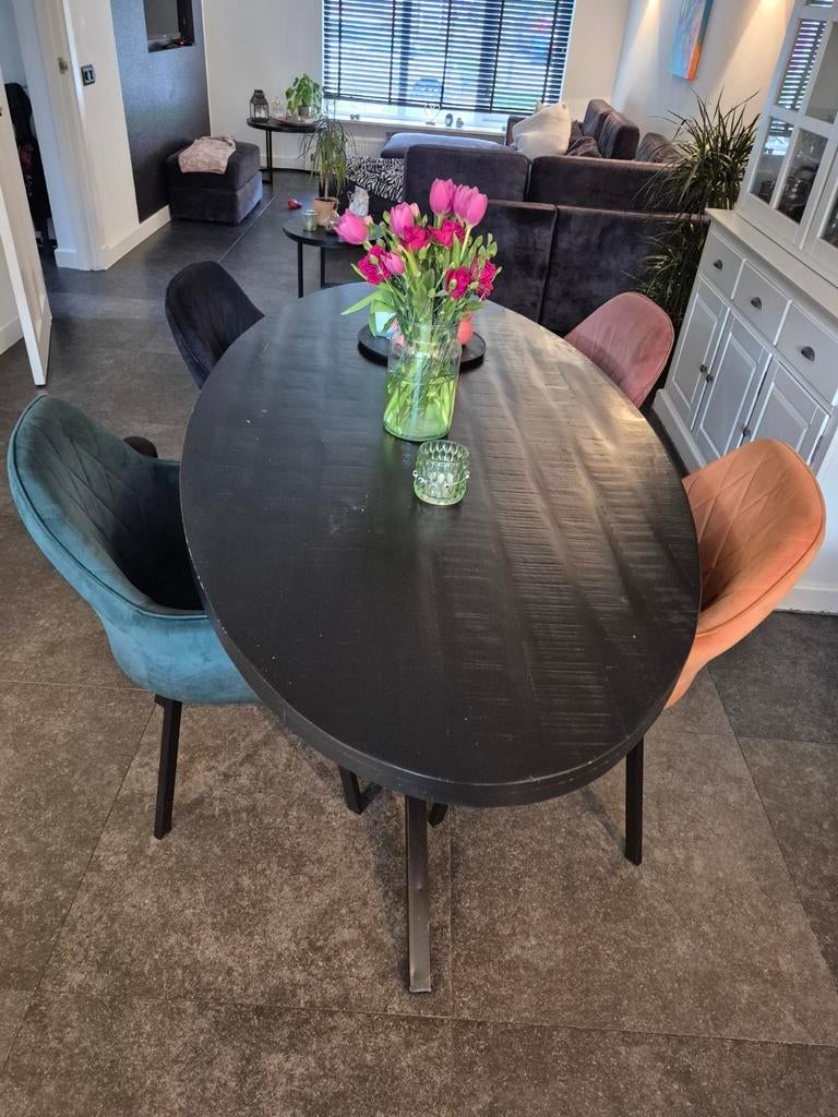Ovale eettafel (200x101cm) met 4 stoelen, Huis en Inrichting, Tafels | Eettafels, Gebruikt, 100 tot 150 cm, 200 cm of meer, Ophalen of Verzenden