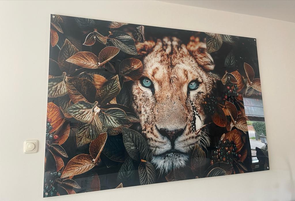 Grote wanddecoratie leeuw op plexiglas, Ophalen, 120 cm, Meerkleurig, Zo goed als nieuw
