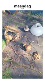 Grote antieke olielamp ( goudverguld) compleet., Antiek en Kunst, Ophalen