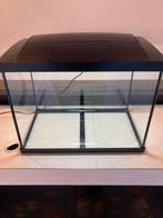 Nette aquarium, Ophalen, Zo goed als nieuw, Leeg aquarium