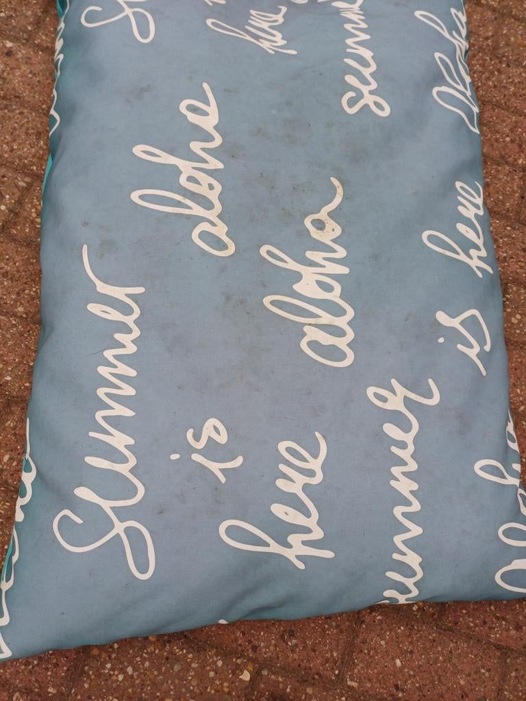 Blauw honden kussen 94/63cm, Ophalen