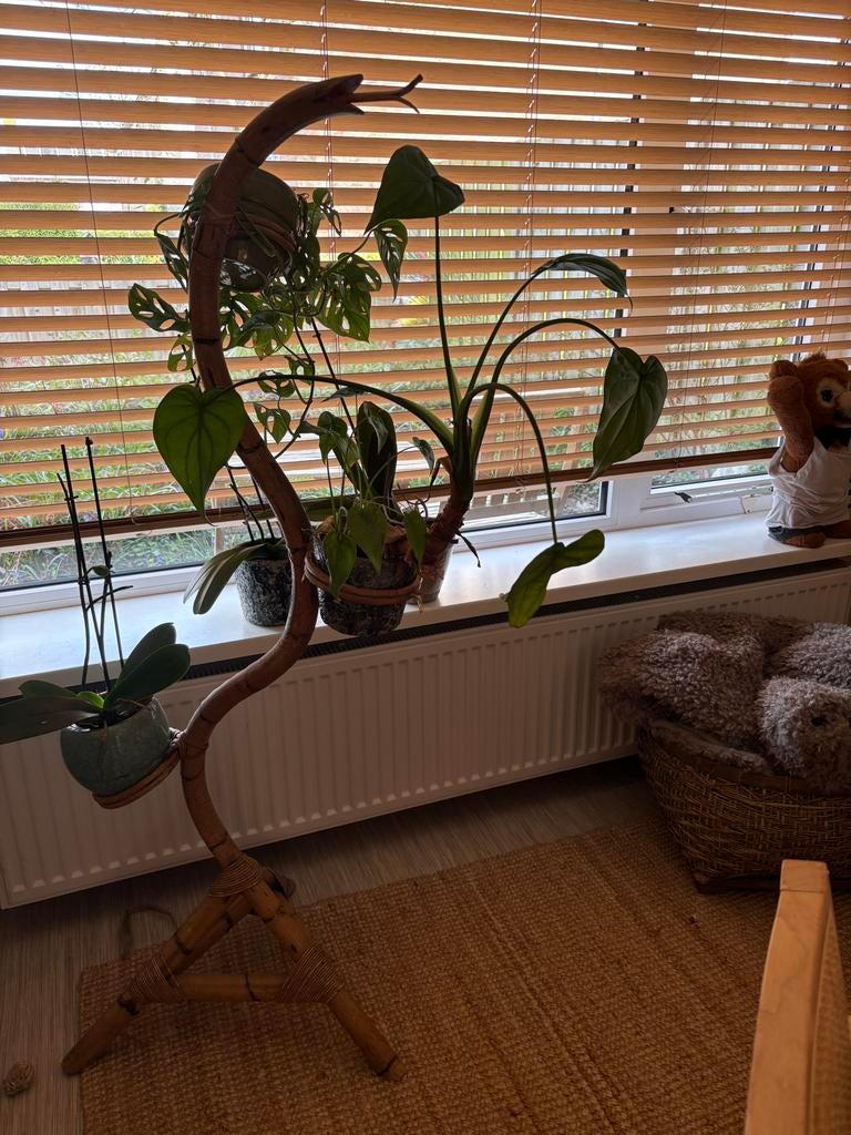 Retro Vintage Rohe Rotan Bamboe Plantenrek, Ophalen