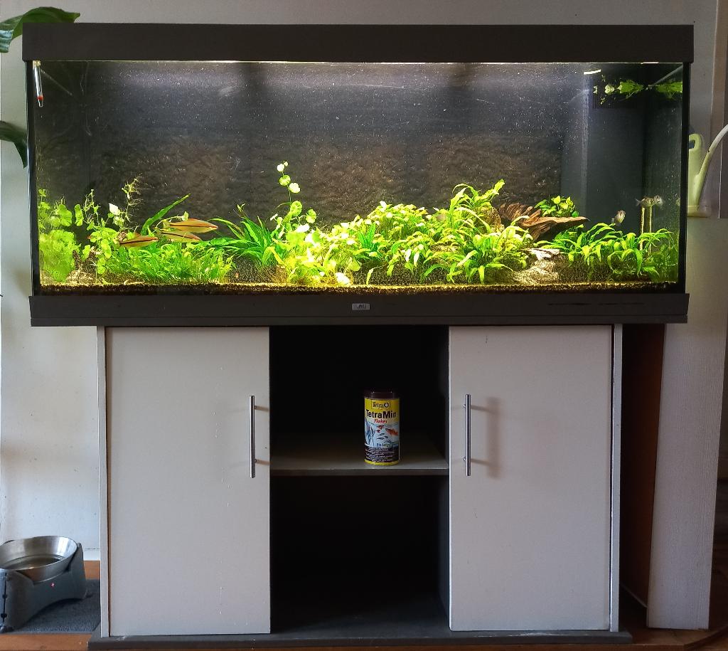 Jewel Aquarium, Ophalen, Gebruikt, Gevuld zoetwateraquarium