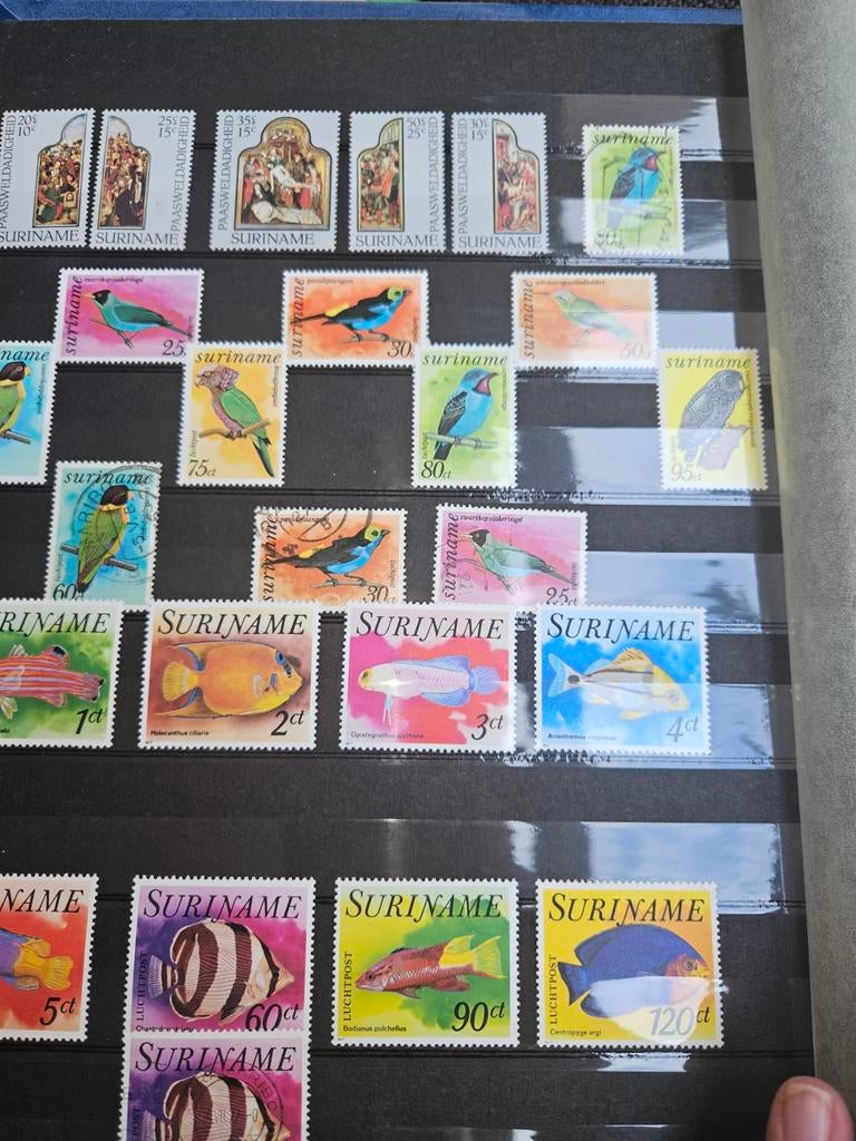 Verzamelalbum Surinaamse postzegels, Postzegels en Munten, Postzegels | Suriname, Ophalen of Verzenden