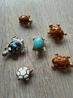 Broches van schildpadden, Ophalen of Verzenden, Zo goed als nieuw, Overige kleuren, Overige materialen