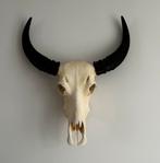 Schedel kop skull buffel waterbuffel decoratie wanddecoratie, Decoratieobject, Zo goed als nieuw, Natuurlijk materiaal, Overige stijlen