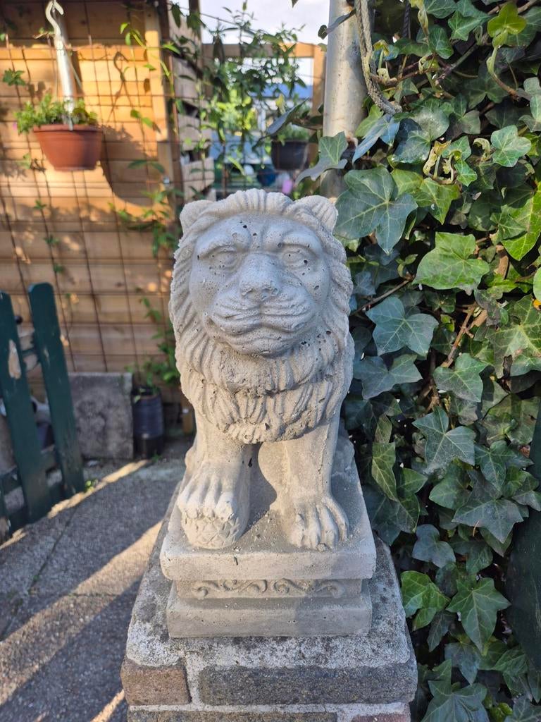 Stenen leeuwenbeeld voor tuin of entree, Tuin en Terras, Tuinbeelden, Ophalen
