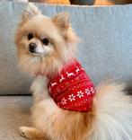Schattige trui in kerst thema voor kleine honden, Ophalen of Verzenden, Nieuw, Hondentrui