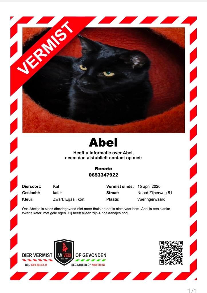 Vermist zwarte kater Abel sinds 14 april 2026