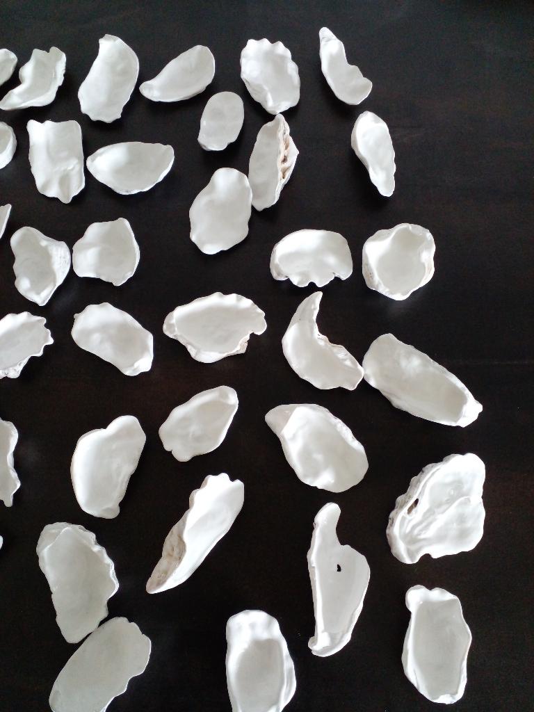 40 x mooie oesterschelpen wit gelakt, maat 5cm t/m 7 cm., Zee en Strand, Nieuw, Meerkleurig, Ophalen of Verzenden