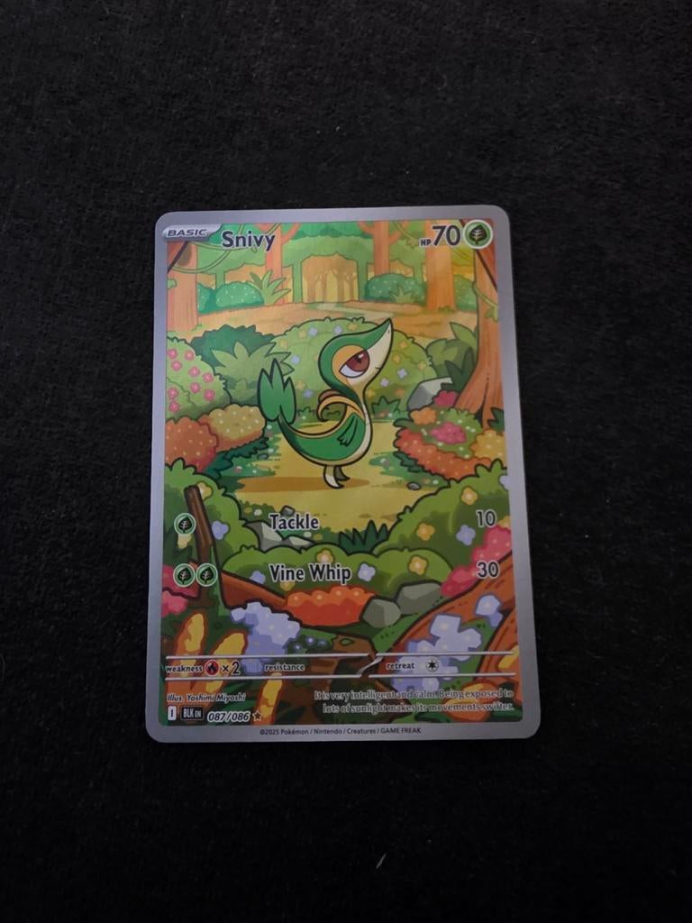 Snivy (BLK 087), Ophalen of Verzenden