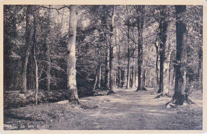 06973 Assen - In het bosch, Verzamelen, Ansichtkaarten | Nederland, Ongelopen, Drenthe, 1920 tot 1940, Verzenden