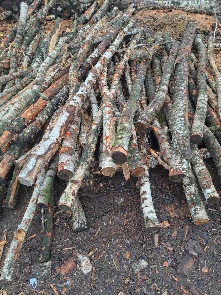 Berken handzame stammen droog €85 per strak gestapelde kuub, Minder dan 3 m³, Ophalen, Berkenhout, Stammen