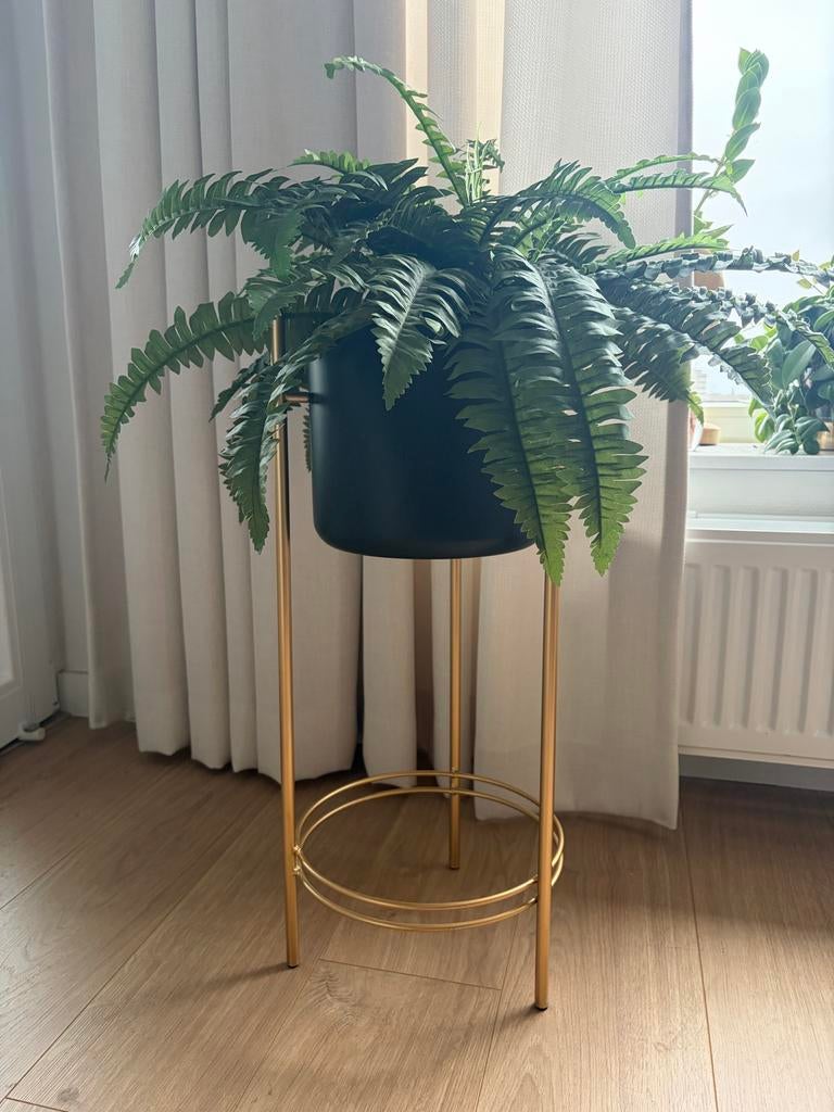 Mica Decorations Zwarte bloempot met gouden standaard, Ophalen, Gebruikt, Minder dan 60 cm, Rond