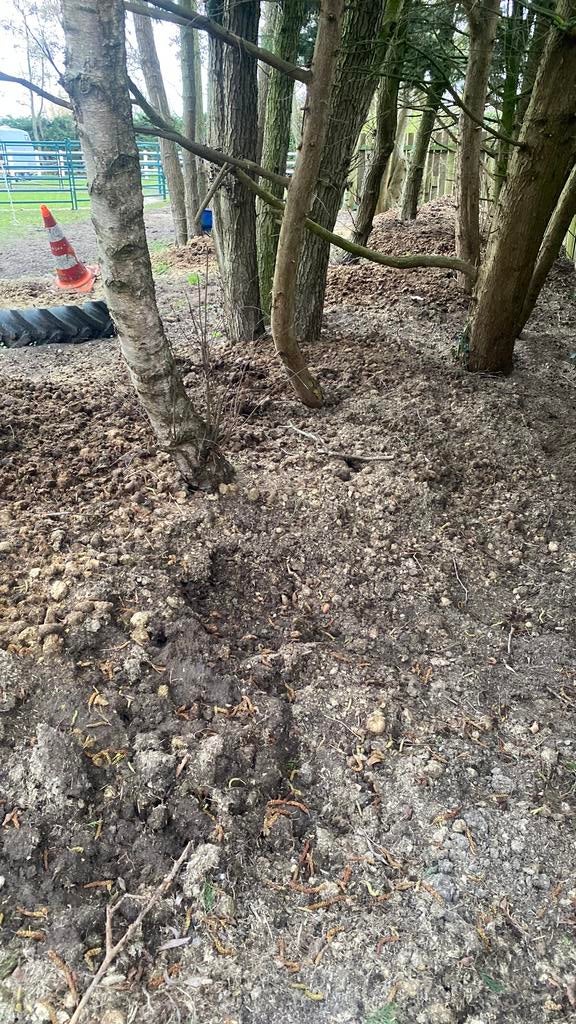 Compost en mest in Lisse, Ophalen of Verzenden