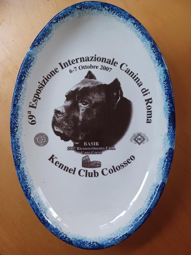 Decoratief Cane Corso wandbord, Ophalen of Verzenden