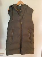 Mooie Zara bodywarmer S, Ophalen of Verzenden, Zo goed als nieuw, Maat 36 (S), Overige kleuren